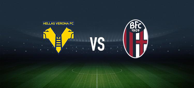 拥有一个可 拥有一个可